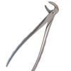Dental Extraction Forceps - Image 2