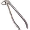 Dental Extraction Forceps - Image 3