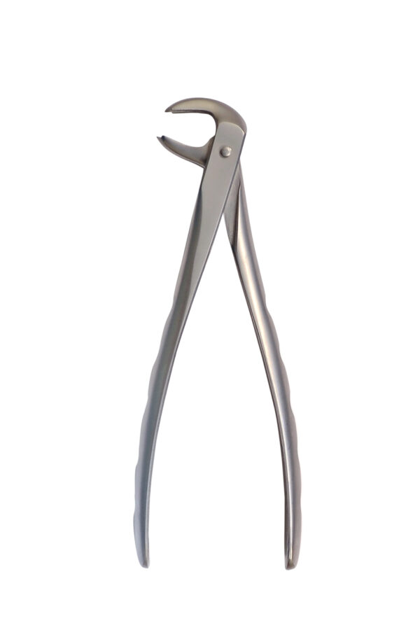 Dental Extraction Forceps